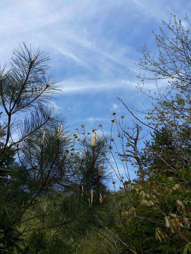 其实很自然 其实并不难 ------ 2015【柴古唐斯PLUS】记