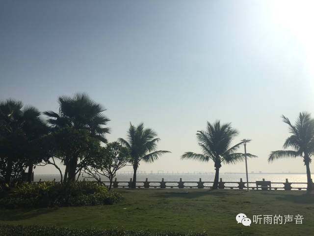 那些天我们跑过的马拉松之点评