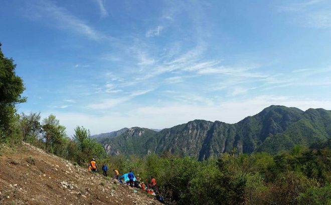 只为你来欢乐的蹦跶无后顾之忧--志愿者日记