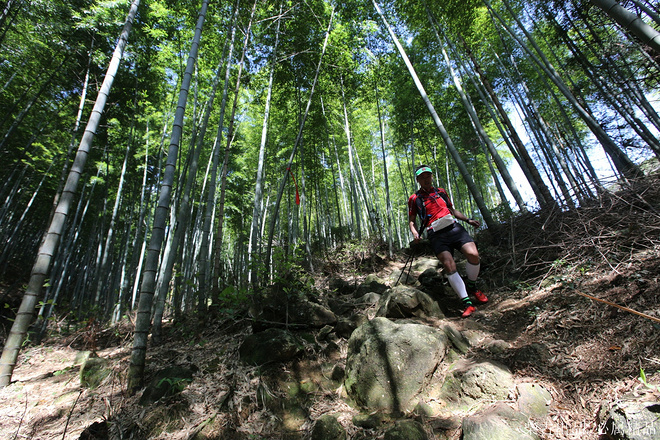 谁能凭爱意要括苍山私有——记柴古唐斯Plus初野之行