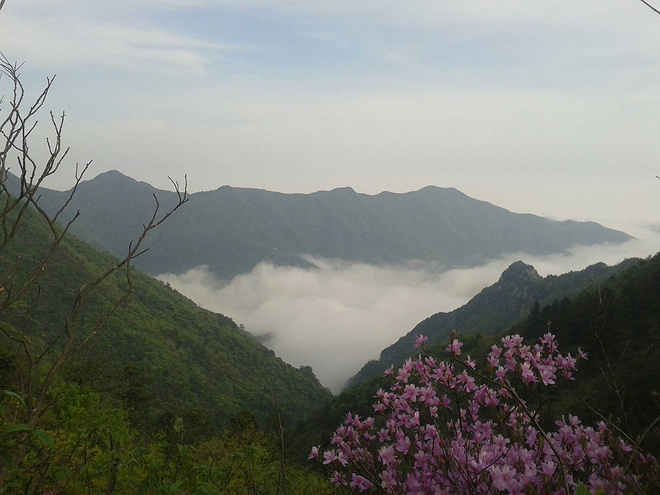 括苍之美，我心已醉 ——记2015括苍之巅柴古唐斯越野赛