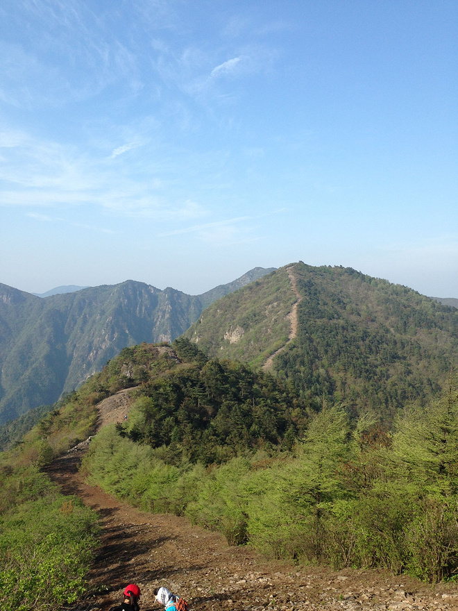 这才是真的"野"！我的第一次退赛