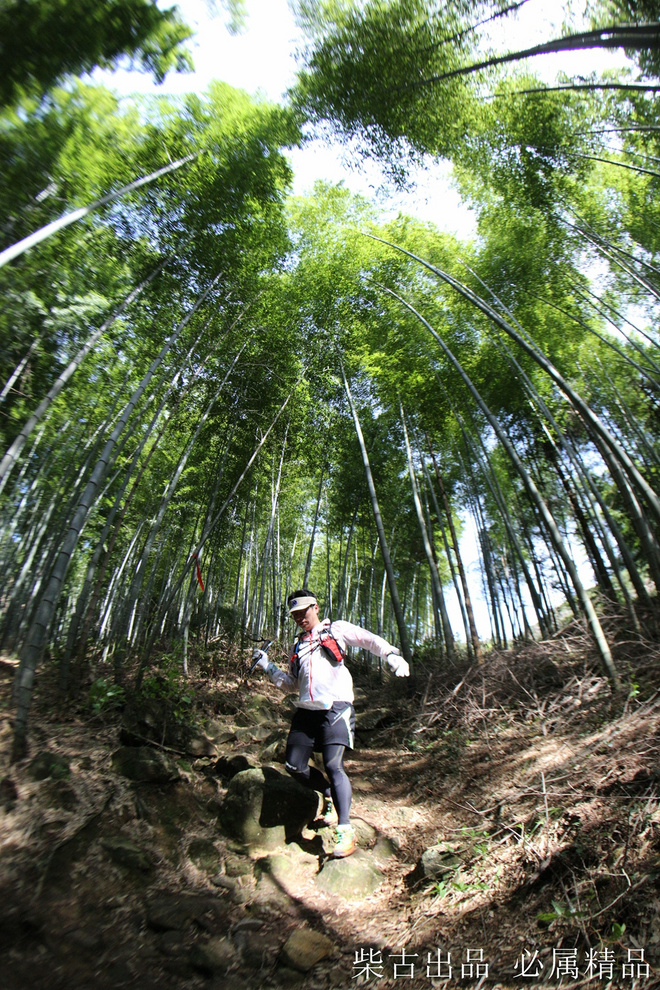 柴古唐斯PLUS赛记