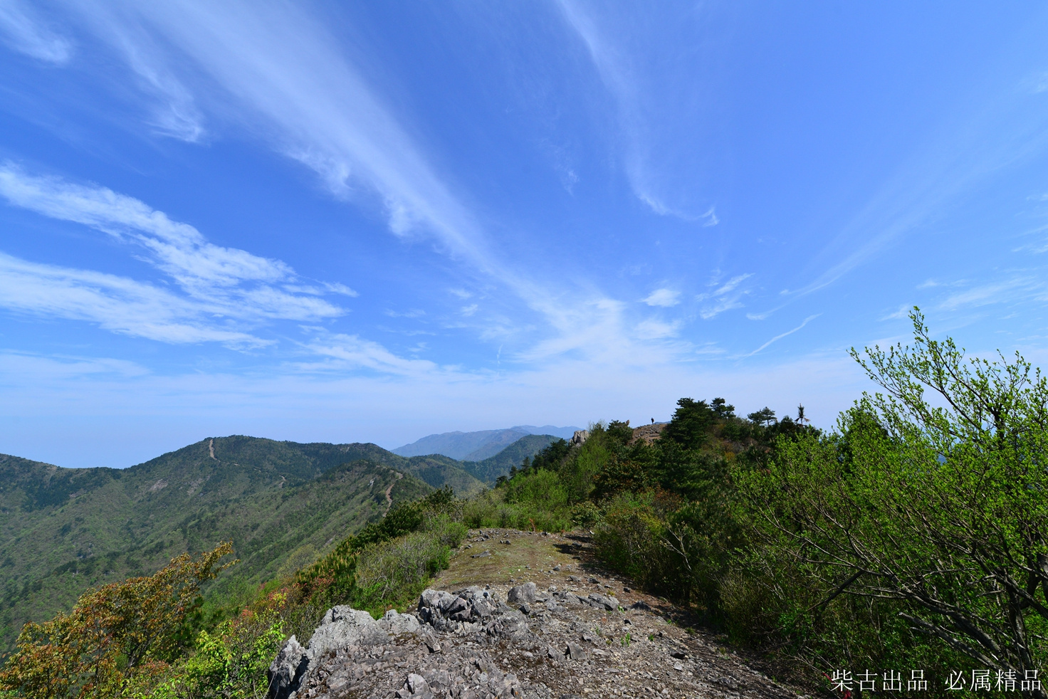 ​柴古唐斯——“揍你一顿”的虐与美