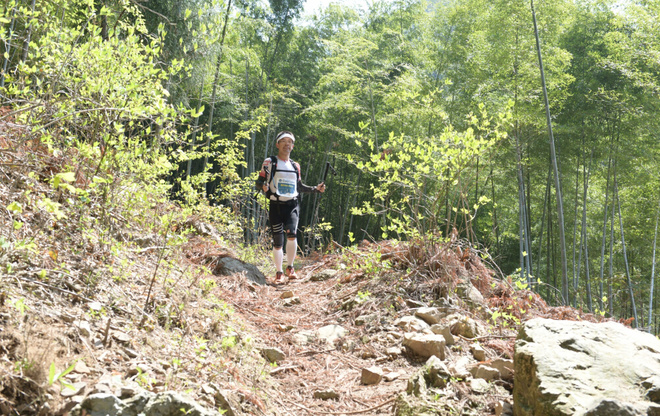 ​柴古唐斯——“揍你一顿”的虐与美