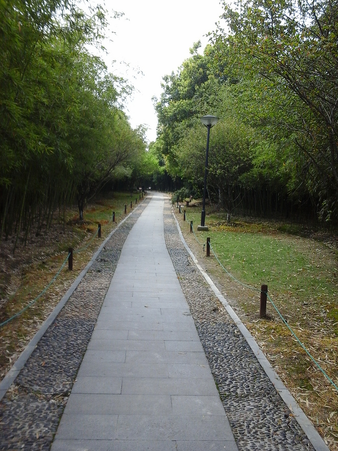 跑步，遇见美好的自己