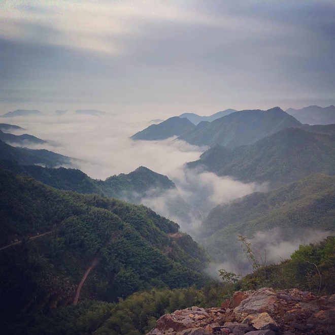 ​柴古唐斯——“揍你一顿”的虐与美