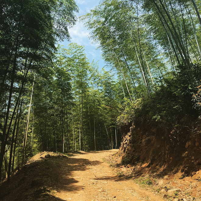 穿山越岭，括苍之美