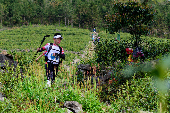 ​柴古唐斯——“揍你一顿”的虐与美