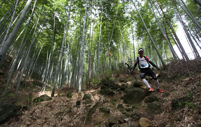 ​柴古唐斯——“揍你一顿”的虐与美