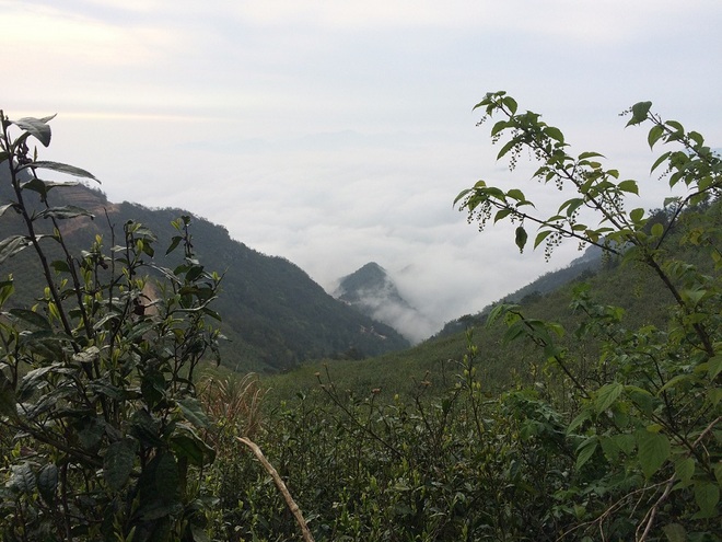 柴古唐斯or拆股躺尸？