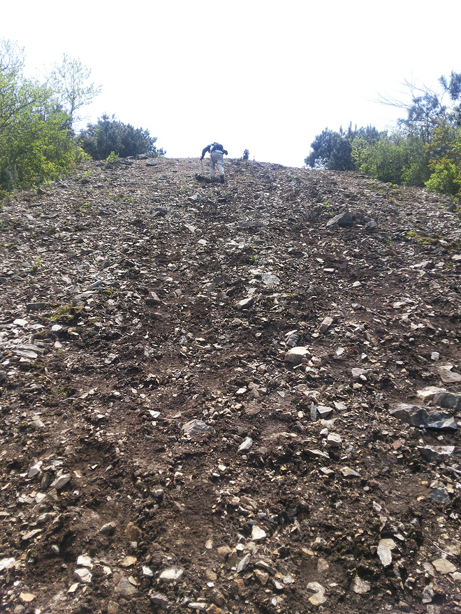 其实很自然 其实并不难 ------ 2015【柴古唐斯PLUS】记