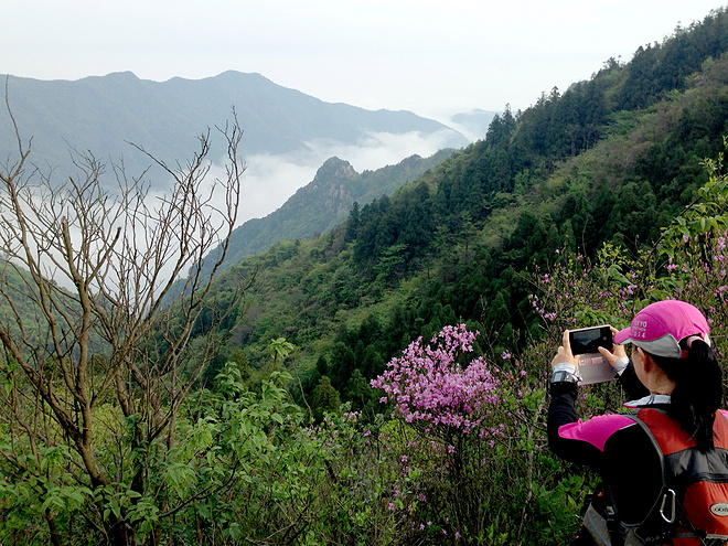 括苍之巅的爱恨情仇