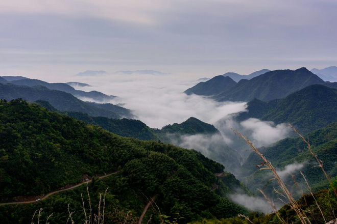 ​柴古唐斯——“揍你一顿”的虐与美