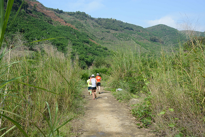 朱子很忙，我也很忙，忙里话闲山村跑