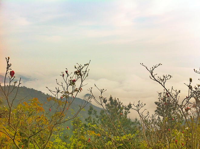 出离城市，寻归荒野——跑马痴汉的括苍山越野赛散记