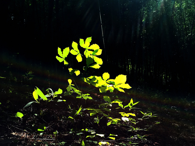 痛并快乐着-柴古唐斯plus 带伤跑记‏