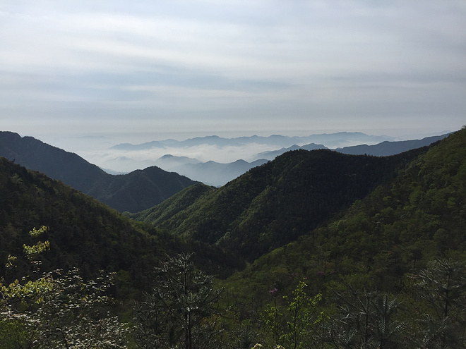 谁能凭爱意要括苍山私有——记柴古唐斯Plus初野之行