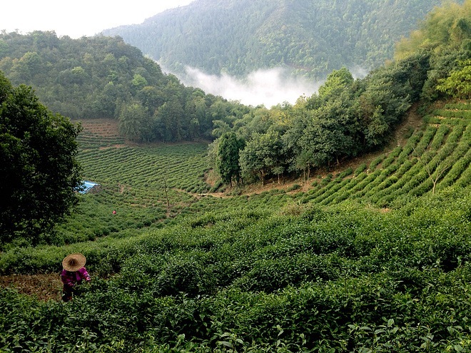 出离城市，寻归荒野——跑马痴汉的括苍山越野赛散记