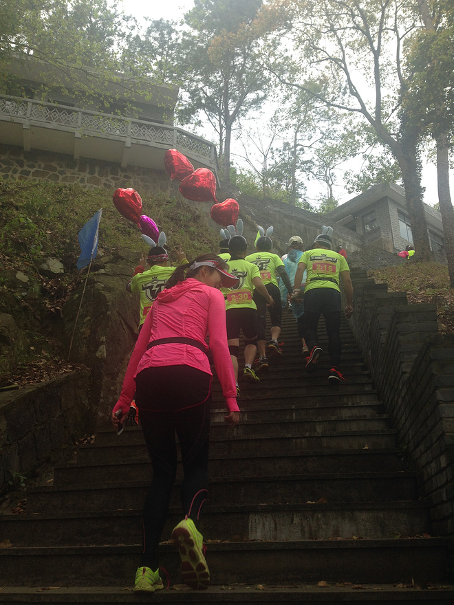 像樱花一样小而美