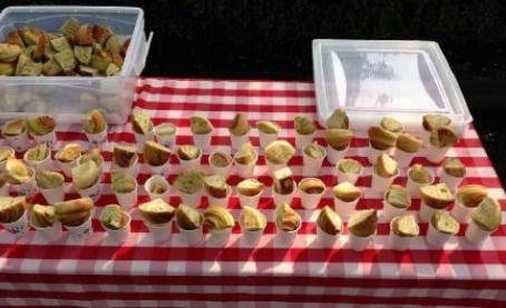 记2015苏州环金鸡湖半程马拉松赛——扬马模拟赛