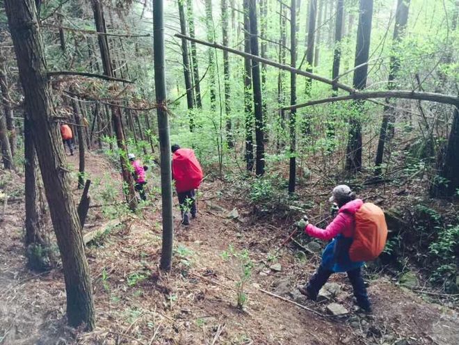 只为你来欢乐的蹦跶无后顾之忧--志愿者日记