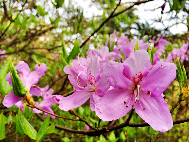 痛并快乐着-柴古唐斯plus 带伤跑记‏