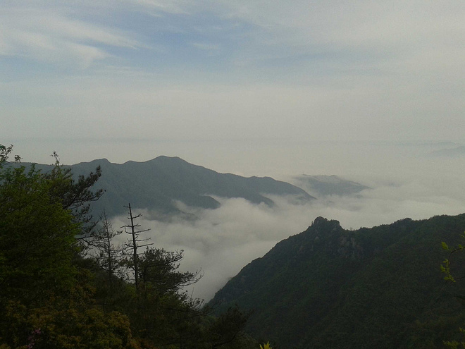 括苍之美，我心已醉 ——记2015括苍之巅柴古唐斯越野赛