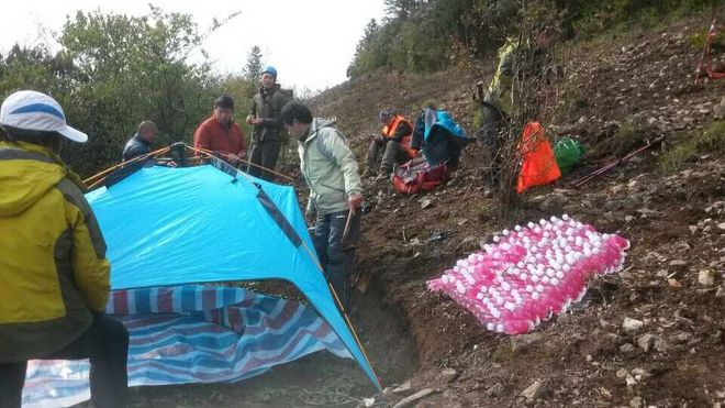 只为你来欢乐的蹦跶无后顾之忧--志愿者日记