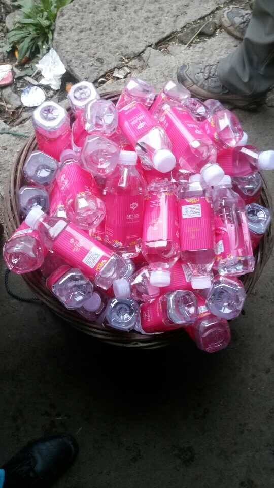 只为你来欢乐的蹦跶无后顾之忧--志愿者日记