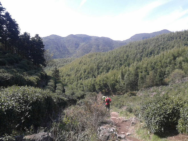 括苍之美，我心已醉 ——记2015括苍之巅柴古唐斯越野赛