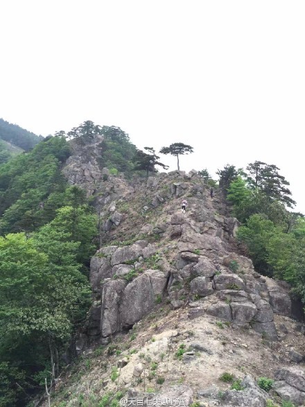 哭泣的花园和微笑的巨石阵--天目山七尖深度一日游记