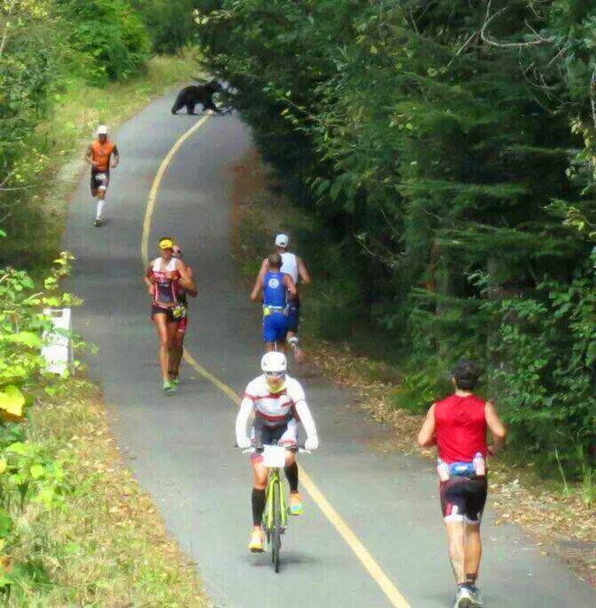 温哥华马拉松 | 跑在惠斯勒的宁静之地