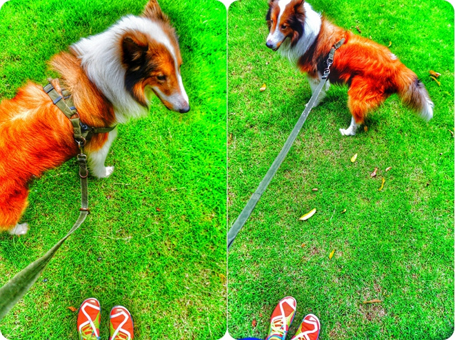 装备众测 | 回到最初 让脚掌抚吻大地——SKORA PHASE深度测评