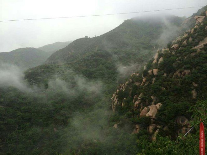 2015 TNF50——我不是一個人在跑步