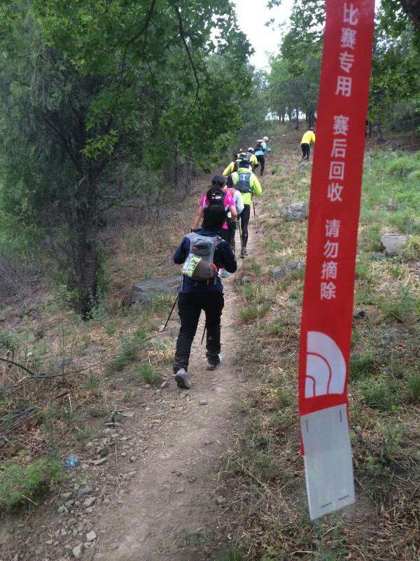 2015 TNF50——我不是一個人在跑步
