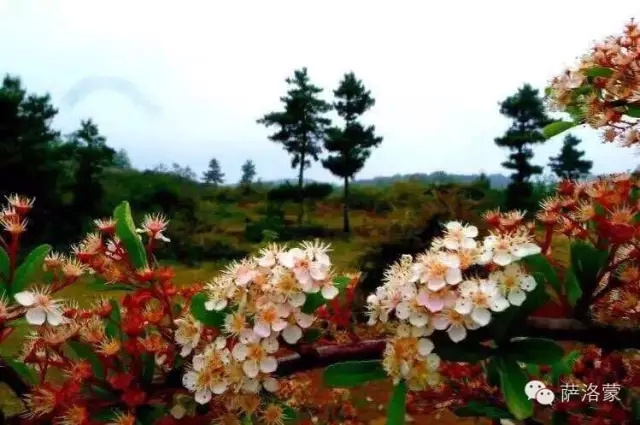 精英训练营选拔赛：花城的泥巴VS春城的雨