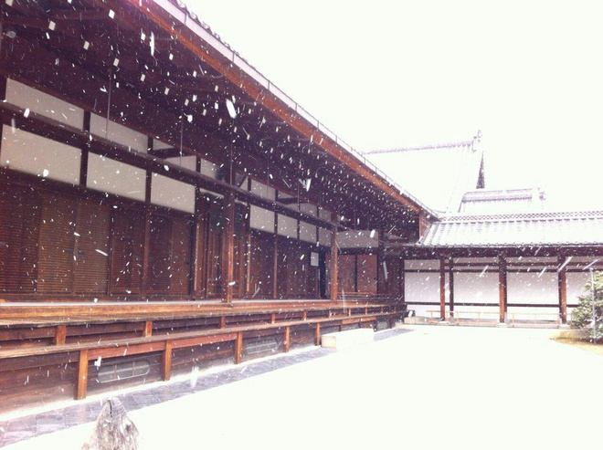 跑者原乡——2015年上海半马赛后小诗