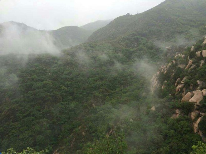 2015 TNF50——我不是一個人在跑步