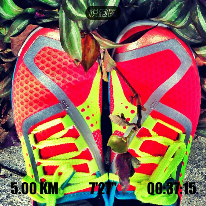 装备众测 | 回到最初 让脚掌抚吻大地——SKORA PHASE深度测评