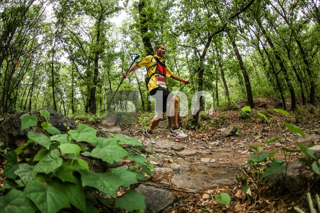 为了忘却的纪念