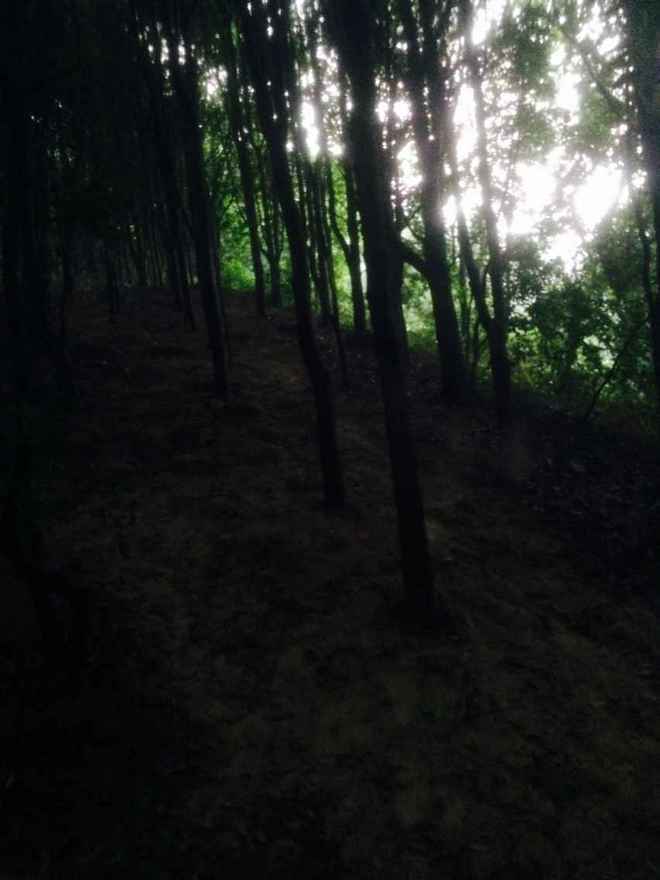 如没有那泥泞 其实你很美——记人生第一次龙洞越野赛