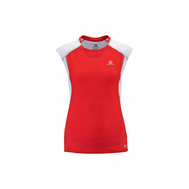 装备 | 蓝山之巅的TOP GEAR