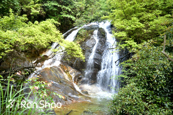 三清山 | 在1800米的长空栈道越野是怎样一种体验?