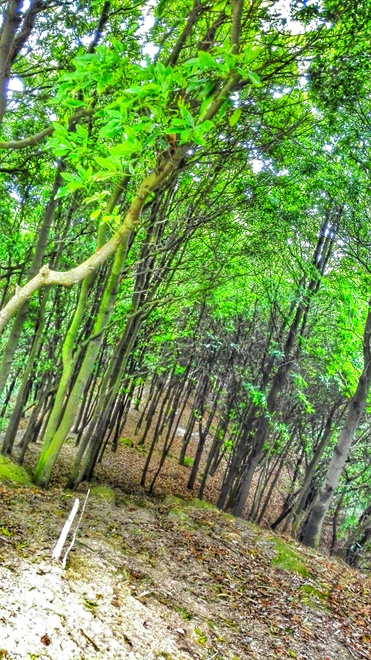 那抹点缀山间的紫与橙——泰尼卡闪电2.0深度测评