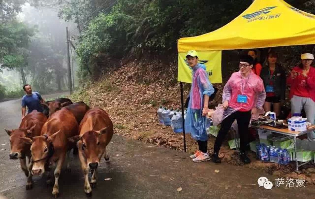 精英训练营选拔赛：花城的泥巴VS春城的雨