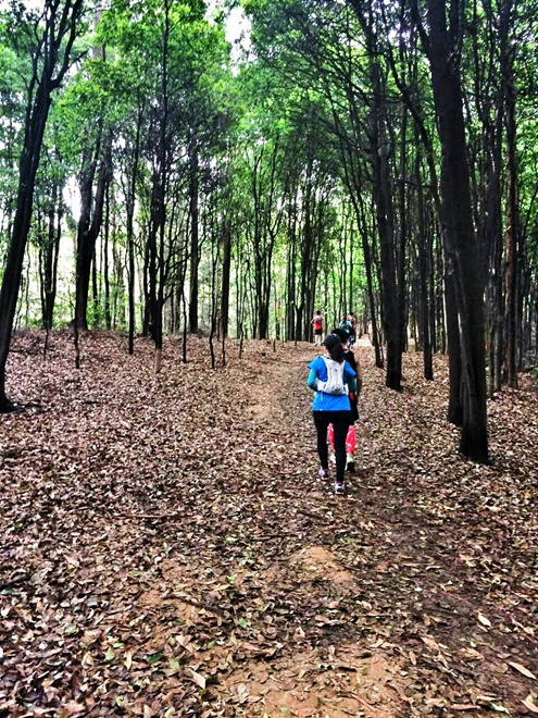 那抹点缀山间的紫与橙——泰尼卡闪电2.0深度测评