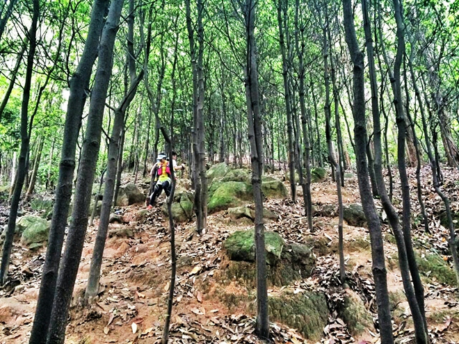 那抹点缀山间的紫与橙——泰尼卡闪电2.0深度测评