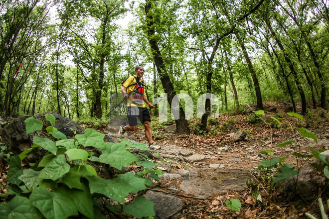 为了忘却的纪念