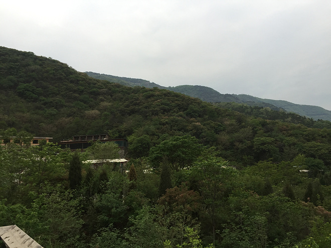 虐你千百遍，越野越美丽--TNF100